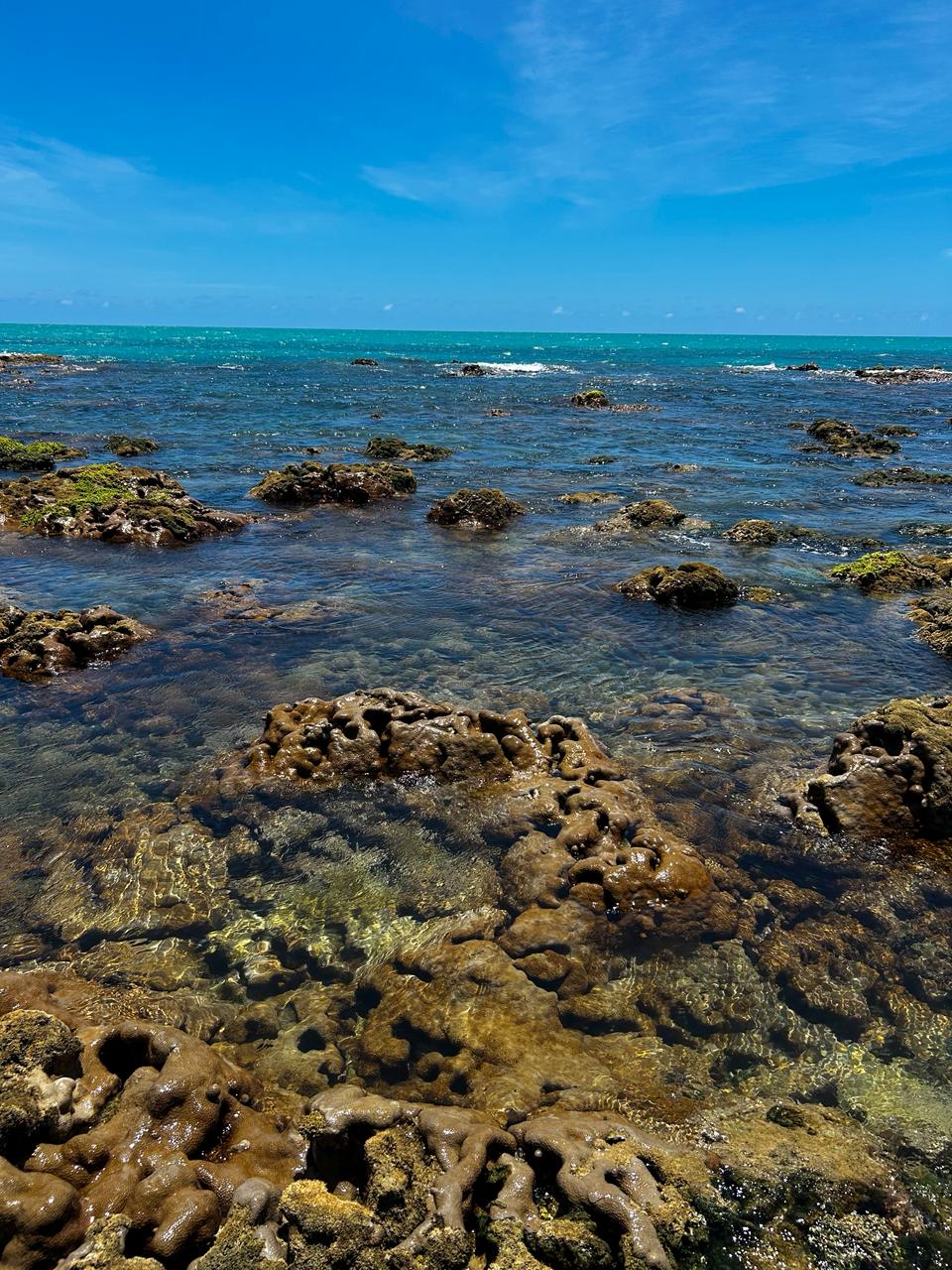 Foto 7 de Croas de São Bento e Praias Desertas – Experiência em Maragogi