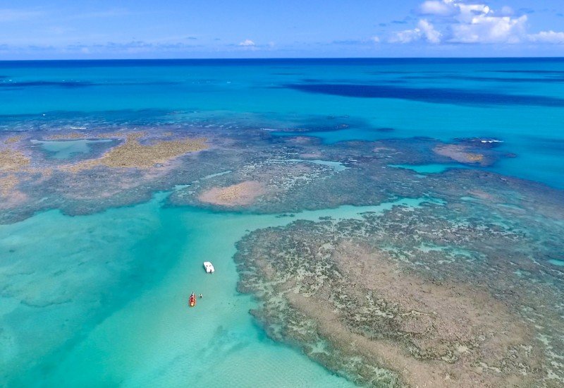 Foto 5 de Piscinas Naturais (Maceió/ Praia De Ponta Verde)