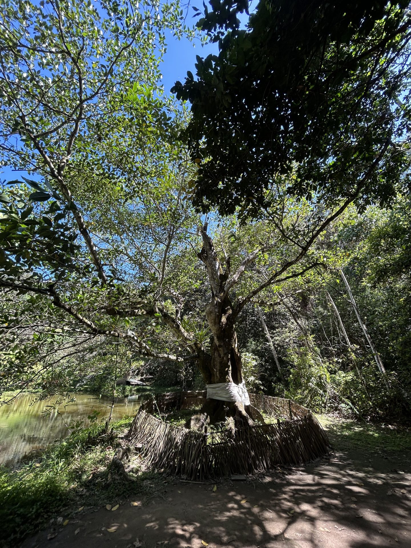 Photo 6 du Mémorial Quilombo dos Palmares – Racines de la liberté à União dos Palmares