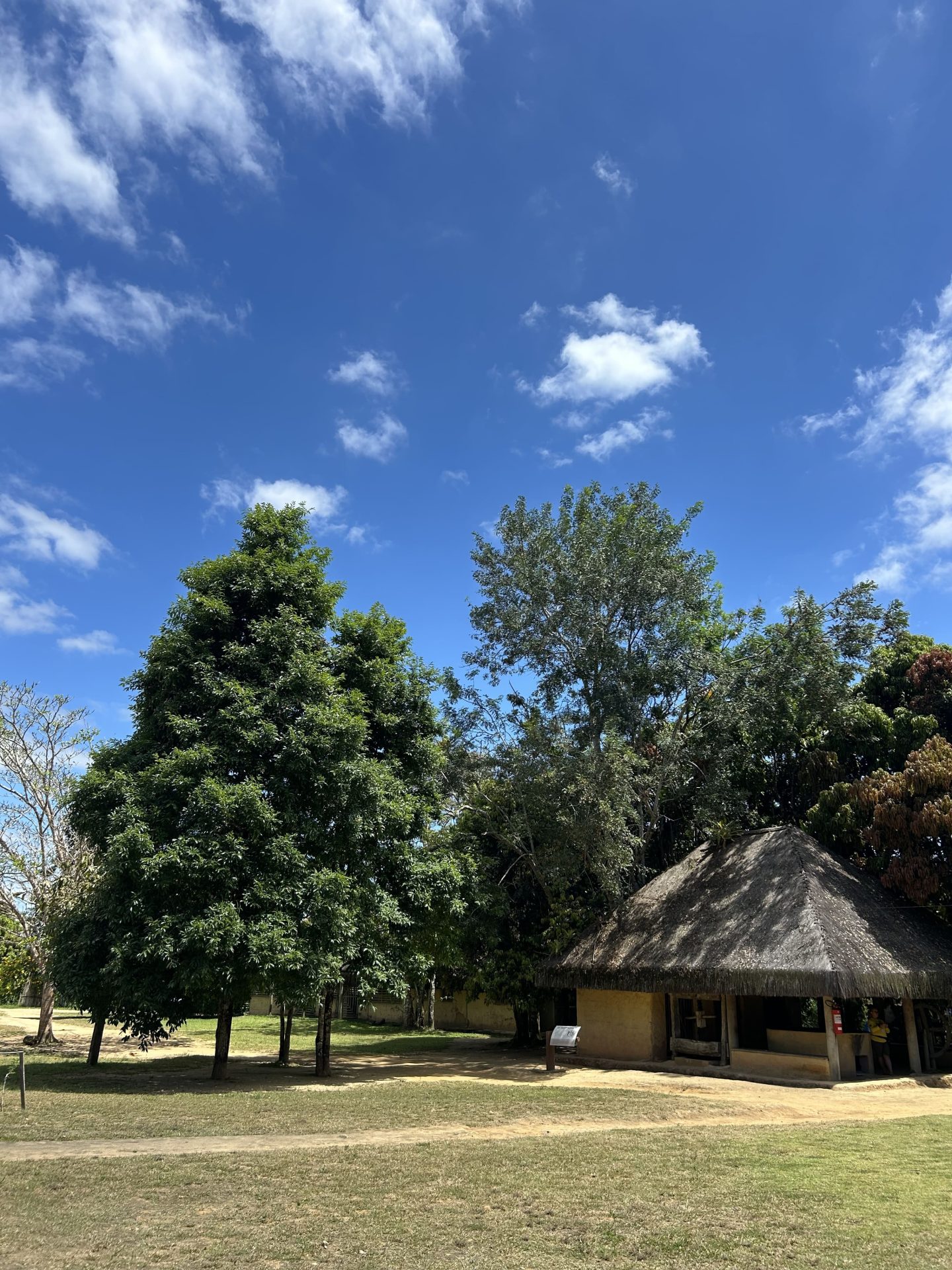 Photo 5 du Mémorial Quilombo dos Palmares – Racines de la liberté à União dos Palmares
