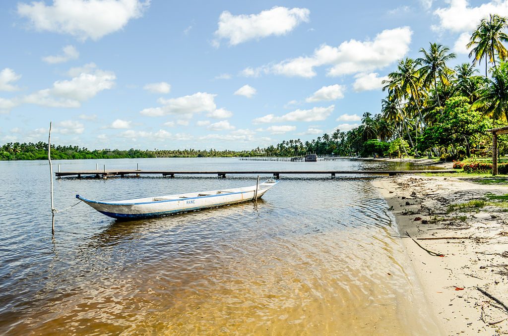 Complexo Estuário Lagunar - Experiência pelas Lagoas Alagoanas