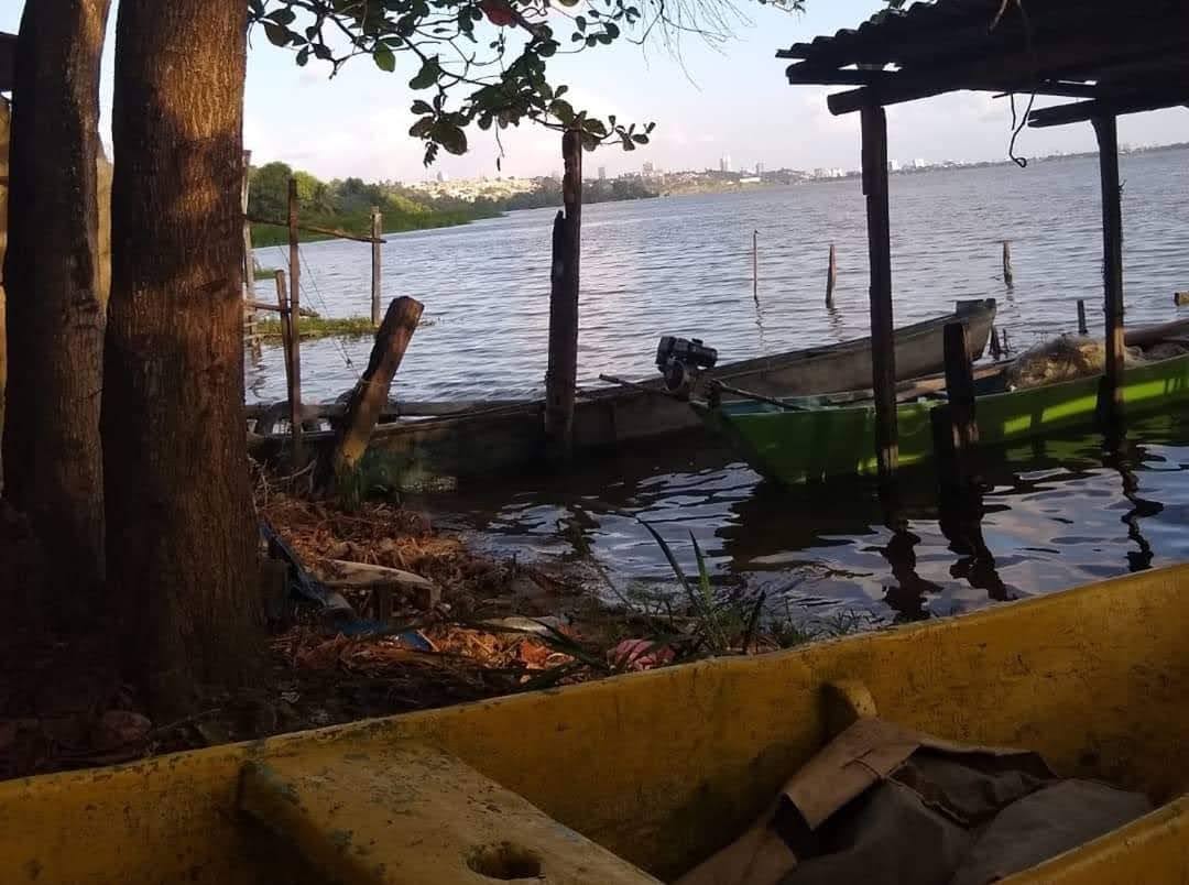 Foto 7 de Complexo Estuário Lagunar - Experiência pelas Lagoas Alagoanas