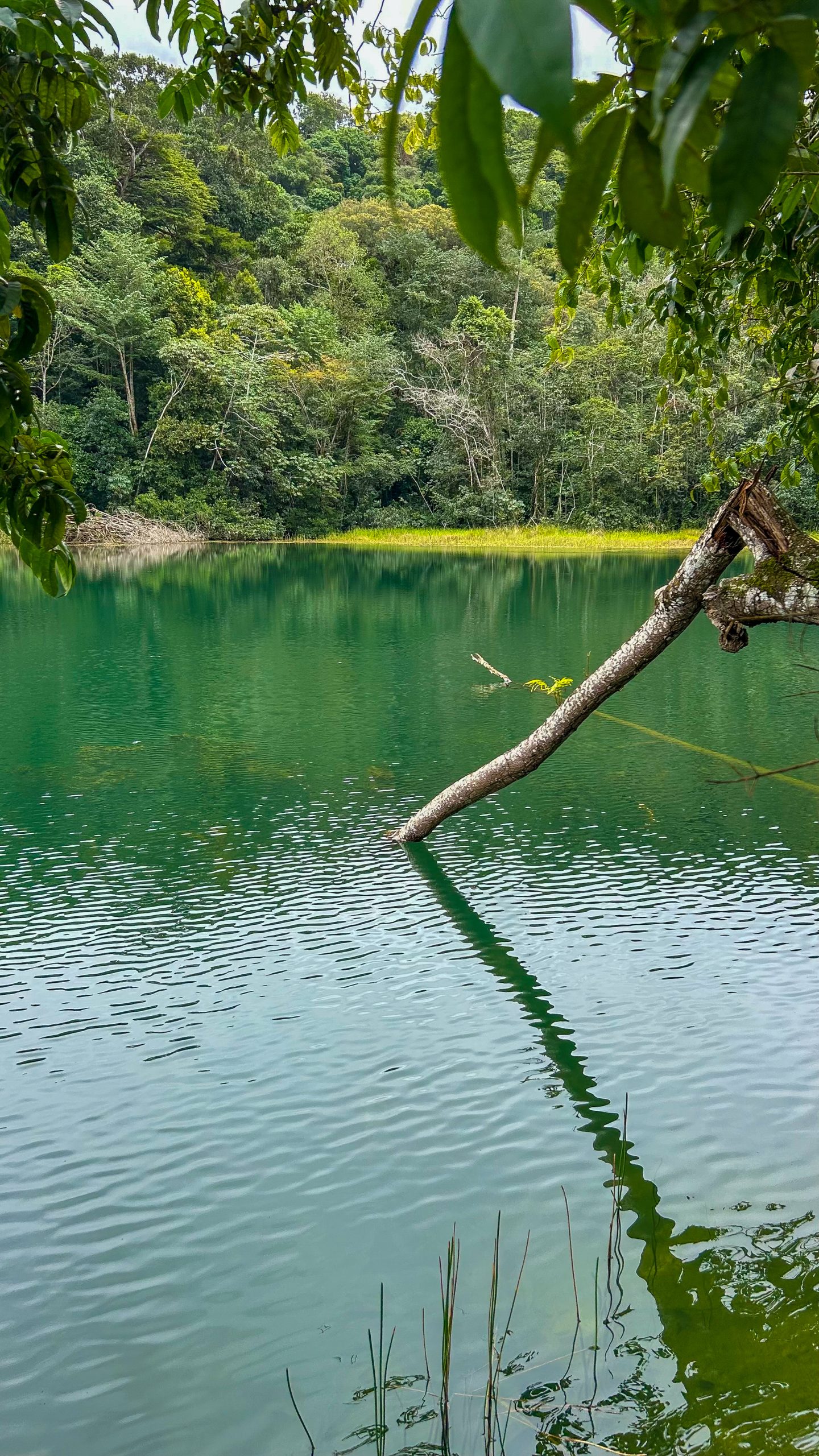 Primeira Trilha do Ano - FERNÃO VELHO - 25/01